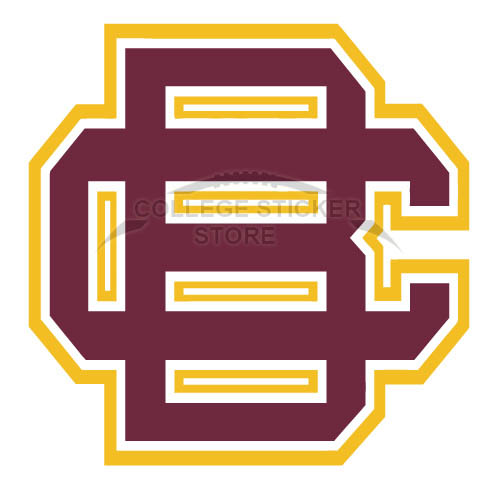 Customs Bethune Cookman Wildcats 2010 Pres Primary Iron-on Transfers (Wall Stickers)NO.4002
